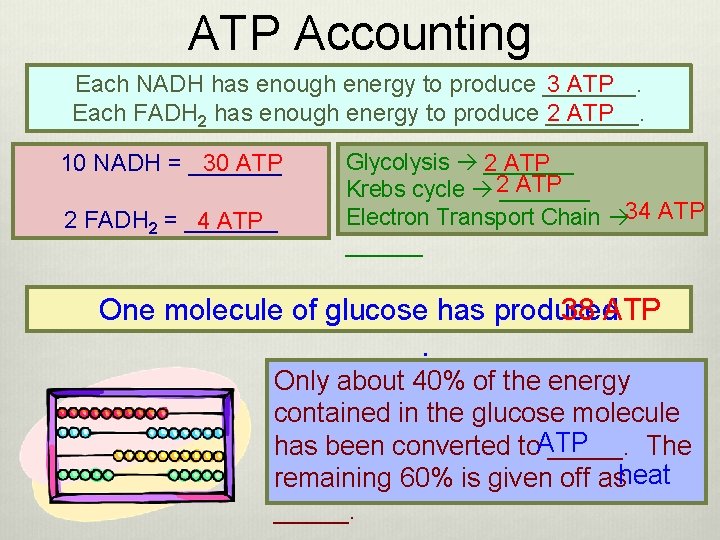 ATP Accounting 3 ATP Each NADH has enough energy to produce _______. Each FADH