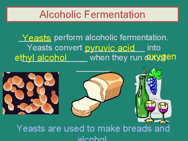 Alcoholic Fermentation _______ perform alcoholic fermentation. Yeasts convert _______ into pyruvic acid oxygen _______