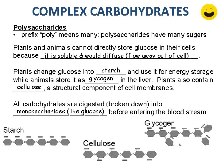 COMPLEX CARBOHYDRATES Polysaccharides • prefix “poly” means many: polysaccharides have many sugars Plants and COMPLEX CARBOHYDRATES Polysaccharides • prefix “poly” means many: polysaccharides have many sugars Plants and