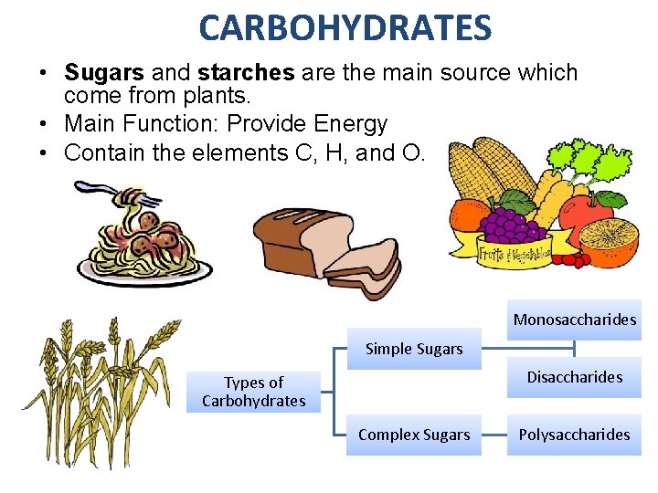 CARBOHYDRATES • Sugars and starches are the main source which come from plants. • CARBOHYDRATES • Sugars and starches are the main source which come from plants. •