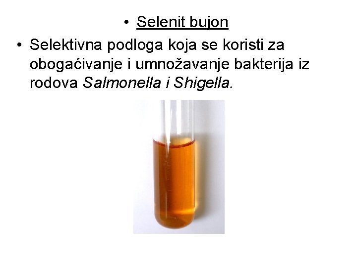 • Selenit bujon • Selektivna podloga koja se koristi za obogaćivanje i umnožavanje • Selenit bujon • Selektivna podloga koja se koristi za obogaćivanje i umnožavanje