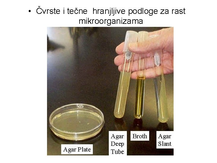 • Čvrste i tečne hranjljive podloge za rast mikroorganizama • Čvrste i tečne hranjljive podloge za rast mikroorganizama