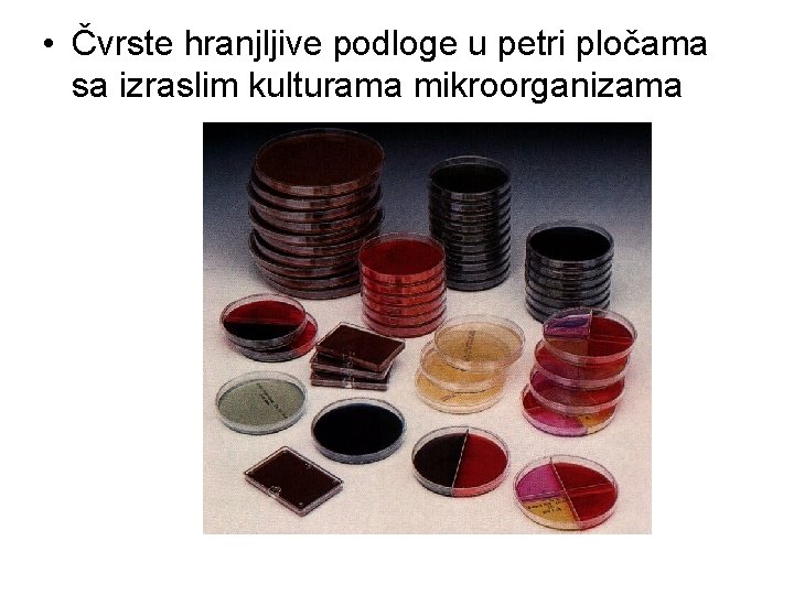 • Čvrste hranjljive podloge u petri pločama sa izraslim kulturama mikroorganizama • Čvrste hranjljive podloge u petri pločama sa izraslim kulturama mikroorganizama