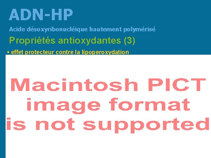 ADN-HP Acide désoxyribonucléique hautement polymérisé Propriétés antioxydantes (3) • effet protecteur contre la lipoperoxydation