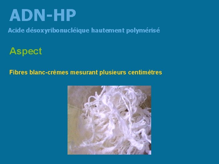 ADN-HP Acide désoxyribonucléique hautement polymérisé Aspect Fibres blanc-crèmes mesurant plusieurs centimètres 