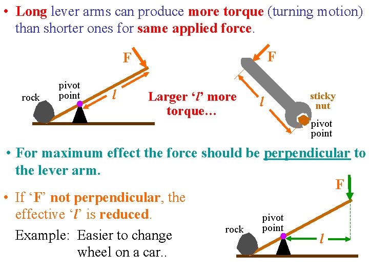  • Long lever arms can produce more torque (turning motion) than shorter ones