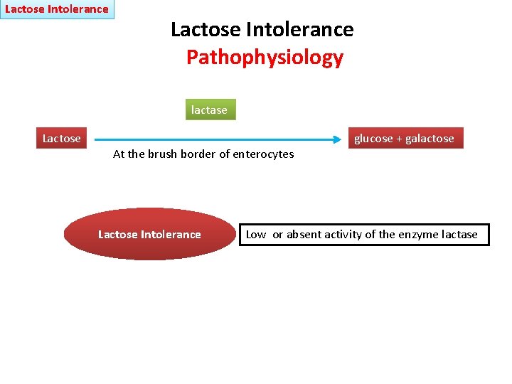 Lactose Intolerance Pathophysiology lactase Lactose At the brush border of enterocytes Lactose Intolerance glucose