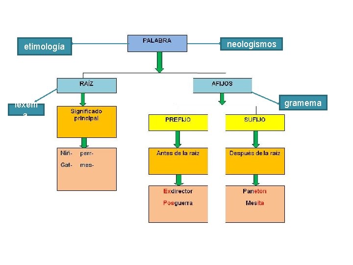 etimología lexem a neologismos gramema 