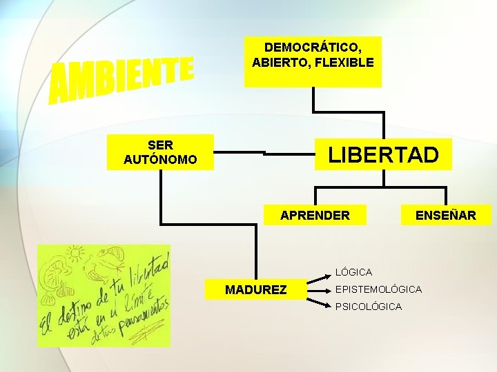 DEMOCRÁTICO, ABIERTO, FLEXIBLE SER AUTÓNOMO LIBERTAD APRENDER ENSEÑAR LÓGICA MADUREZ EPISTEMOLÓGICA PSICOLÓGICA 