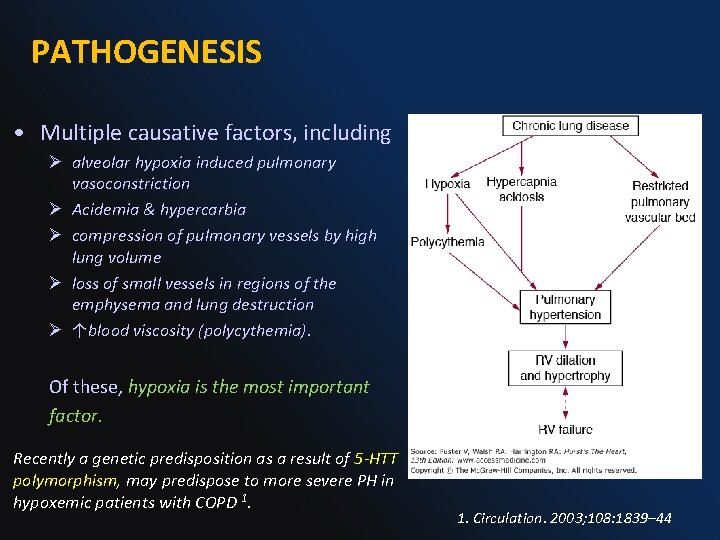PATHOGENESIS • Multiple causative factors, including Ø alveolar hypoxia induced pulmonary vasoconstriction Ø Acidemia PATHOGENESIS • Multiple causative factors, including Ø alveolar hypoxia induced pulmonary vasoconstriction Ø Acidemia