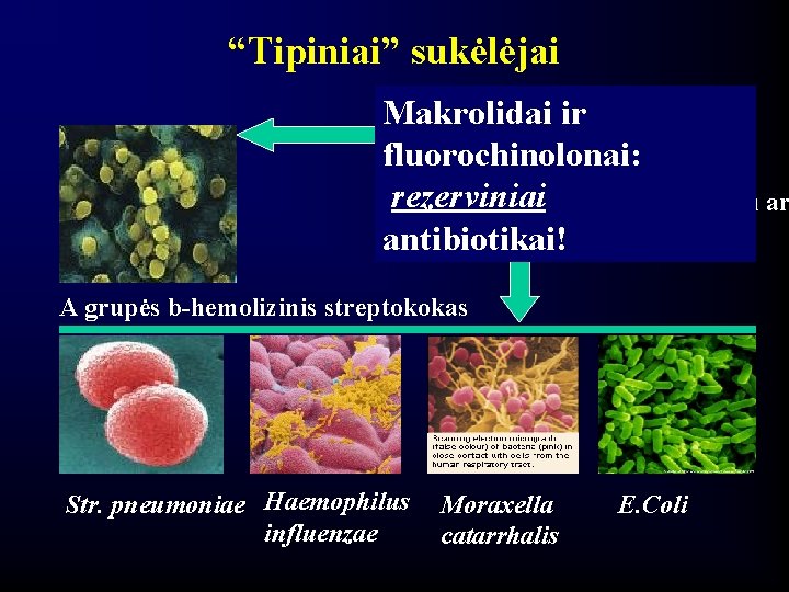 “Tipiniai” sukėlėjai Makrolidai ir Penicilinas Aminopenicilinai fluorochinolonai: Cefalosporinai rezerviniai Aminopenicilinai su sulbaktamu ar klavulanine