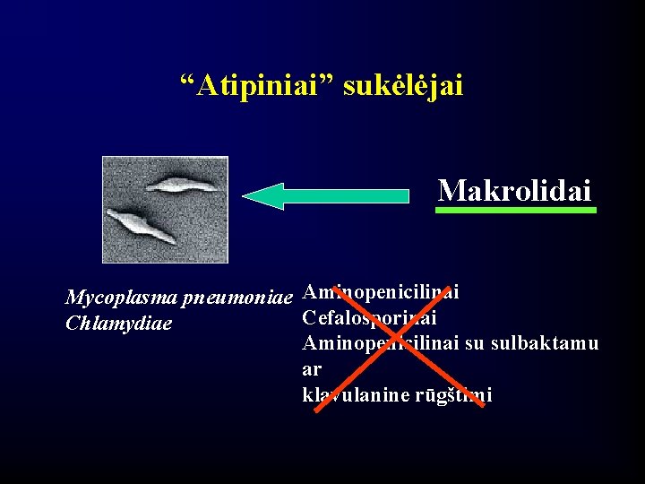 “Atipiniai” sukėlėjai Makrolidai Mycoplasma pneumoniae Aminopenicilinai Cefalosporinai Chlamydiae Aminopenicilinai su sulbaktamu ar klavulanine rūgštimi