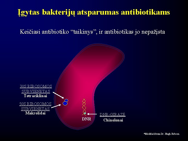 Įgytas bakterijų atsparumas antibiotikams Keičiasi antibiotiko “taikinys”, ir antibiotikas jo nepažįsta 30 S RIBOSOMOS