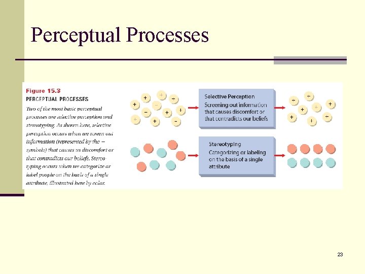 Perceptual Processes 23 Perceptual Processes 23