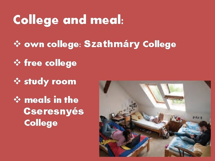 College and meal: v own college: Szathmáry College v free college v study room