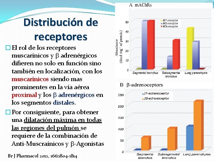 Distribución de receptores �El rol de los receptores muscarínicos y adrenérgicos difieren no solo