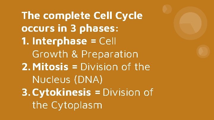 The complete Cell Cycle occurs in 3 phases: 1. Interphase = Cell Growth &