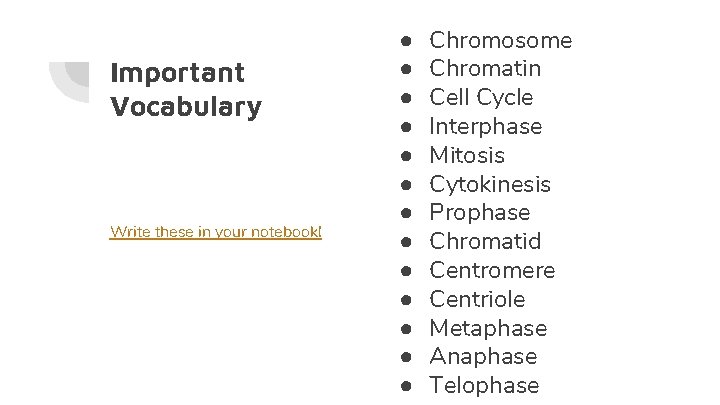 Important Vocabulary Write these in your notebook! ● ● ● ● Chromosome Chromatin Cell