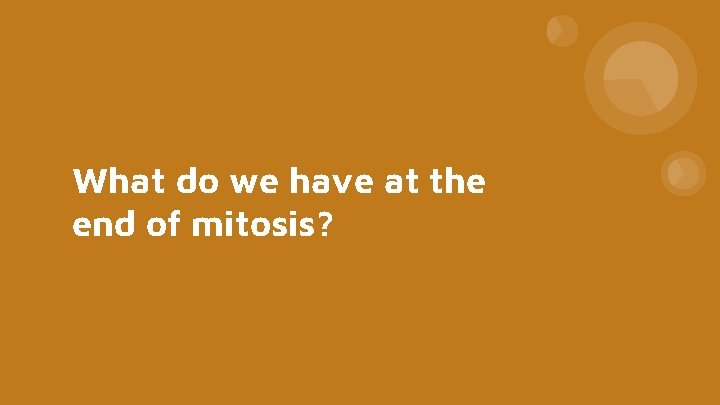What do we have at the end of mitosis? 