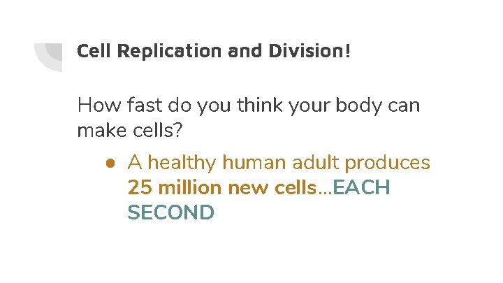 Cell Replication and Division! How fast do you think your body can make cells?