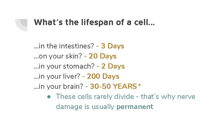 What’s the lifespan of a cell. . . in the intestines? - 3 Days