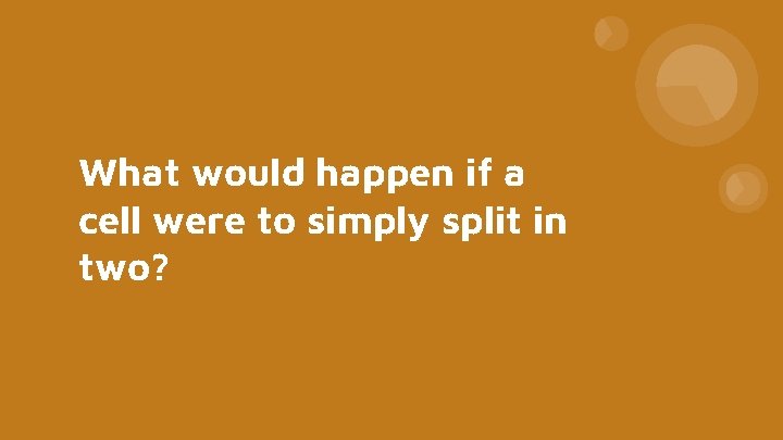 What would happen if a cell were to simply split in two? 