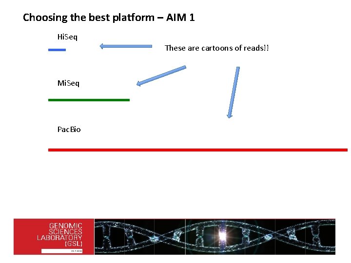 Choosing the best platform – AIM 1 Hi. Seq These are cartoons of reads!!