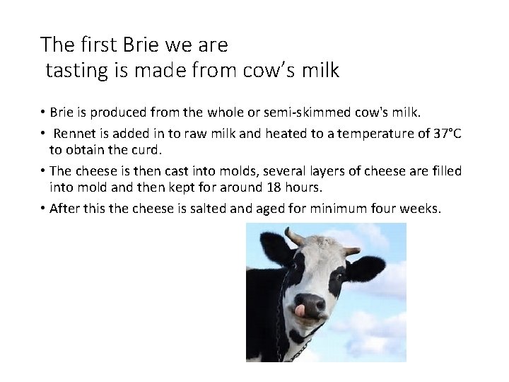 The first Brie we are tasting is made from cow’s milk • Brie is