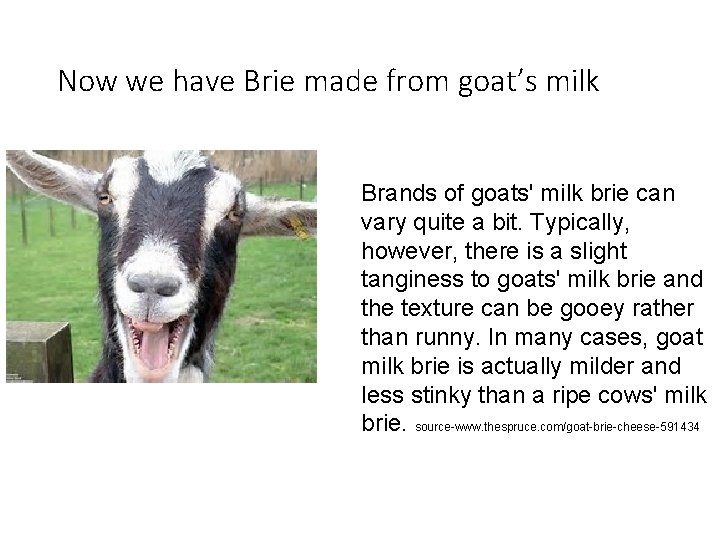 Now we have Brie made from goat’s milk Brands of goats' milk brie can