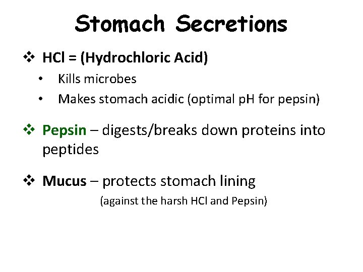 Stomach Secretions v HCl = (Hydrochloric Acid) • • Kills microbes Makes stomach acidic