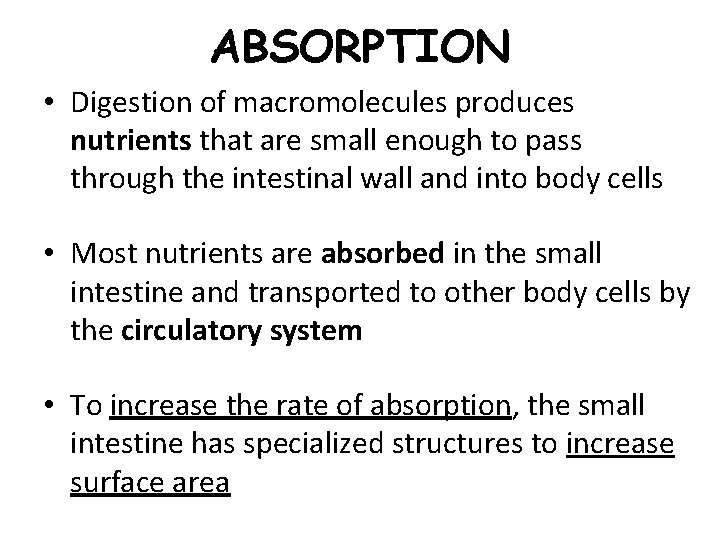 ABSORPTION • Digestion of macromolecules produces nutrients that are small enough to pass through