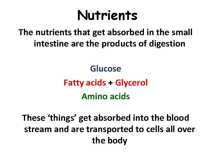 Nutrients The nutrients that get absorbed in the small intestine are the products of