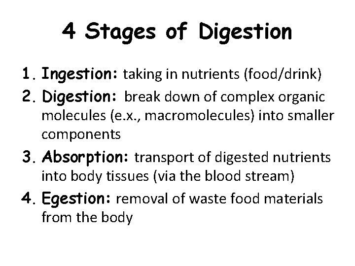 4 Stages of Digestion 1. Ingestion: taking in nutrients (food/drink) 2. Digestion: break down