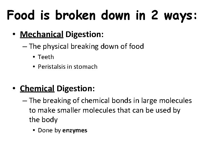 Food is broken down in 2 ways: • Mechanical Digestion: – The physical breaking