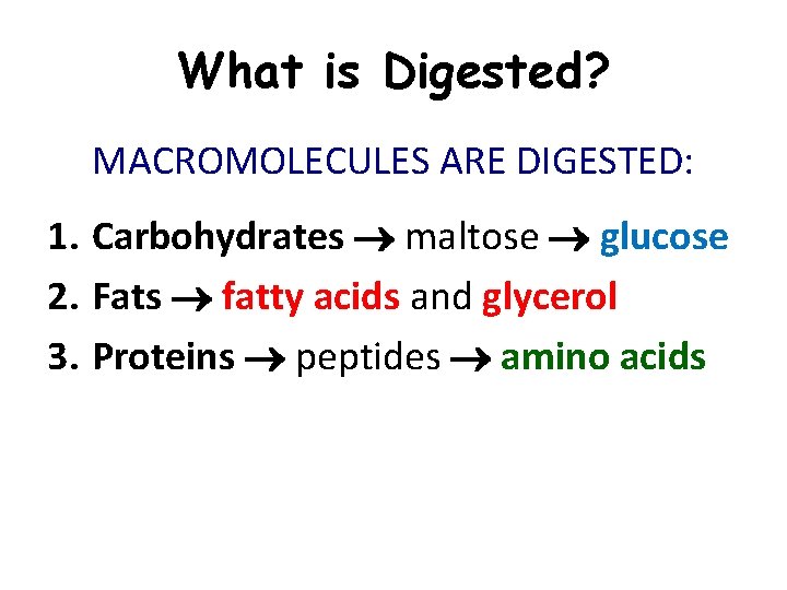 What is Digested? MACROMOLECULES ARE DIGESTED: 1. Carbohydrates maltose glucose 2. Fats fatty acids