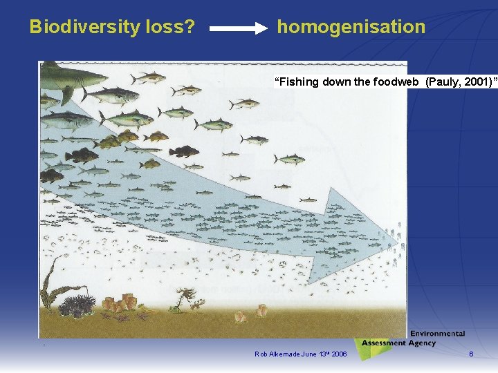 Biodiversity loss? homogenisation “Fishing down the foodweb (Pauly, 2001)” Rob Alkemade June 13 th