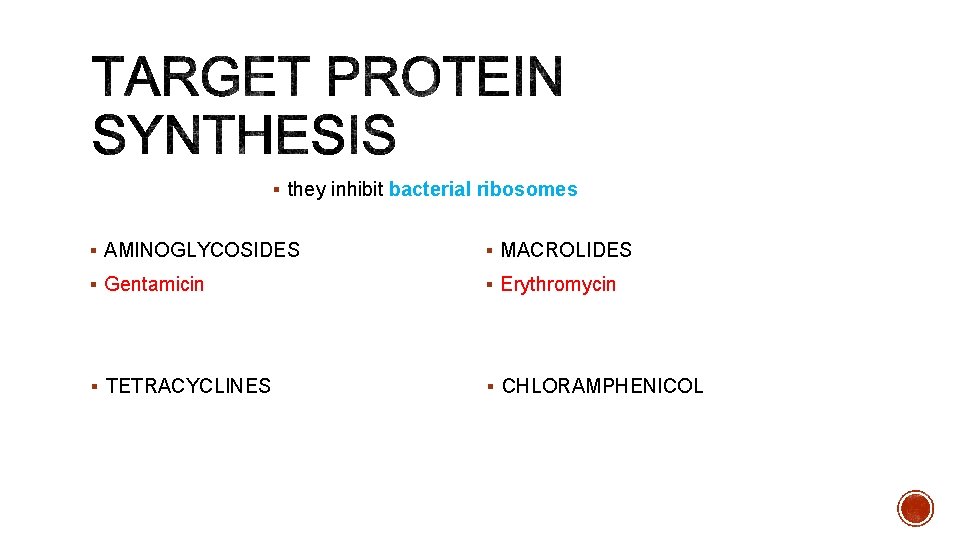 § they inhibit bacterial ribosomes § AMINOGLYCOSIDES § MACROLIDES § Gentamicin § Erythromycin §
