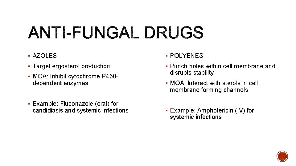 § AZOLES § POLYENES § Target ergosterol production § Punch holes within cell membrane