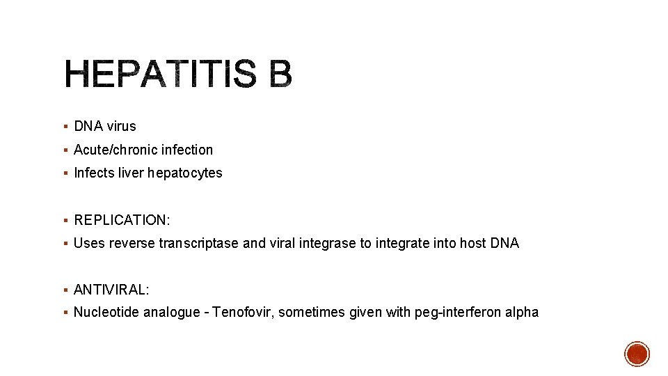 § DNA virus § Acute/chronic infection § Infects liver hepatocytes § REPLICATION: § Uses