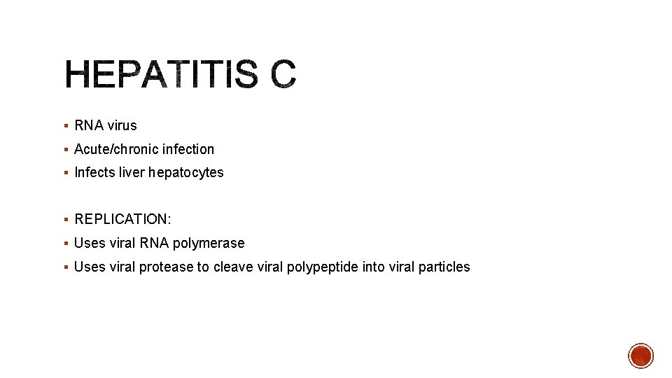 § RNA virus § Acute/chronic infection § Infects liver hepatocytes § REPLICATION: § Uses