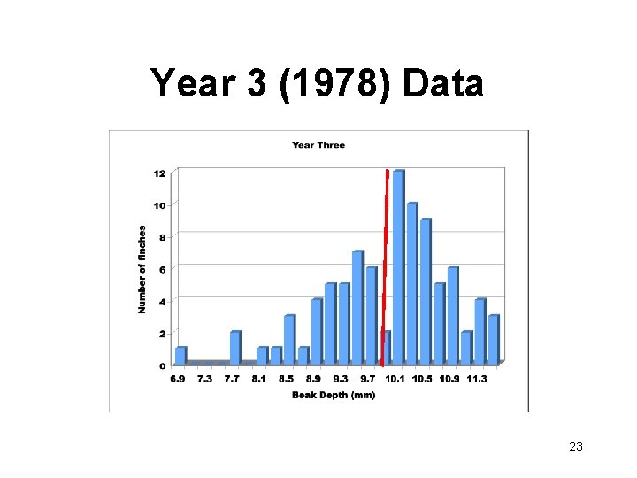 Year 3 (1978) Data 23 