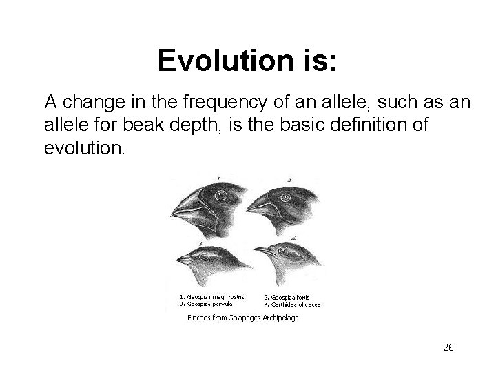 Evolution is: A change in the frequency of an allele, such as an allele