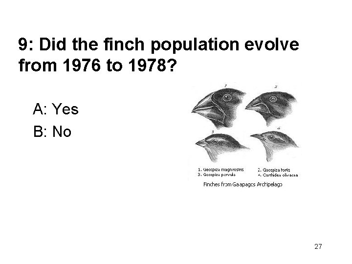 9: Did the finch population evolve from 1976 to 1978? A: Yes B: No