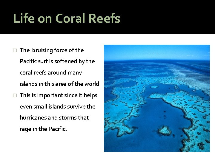 Life on Coral Reefs � The bruising force of the Pacific surf is softened