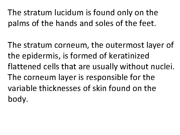 The stratum lucidum is found only on the palms of the hands and soles