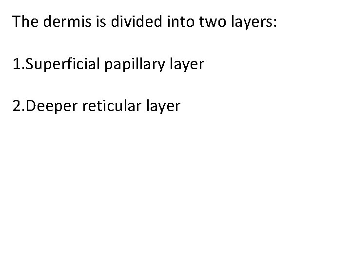 The dermis is divided into two layers: 1. Superficial papillary layer 2. Deeper reticular