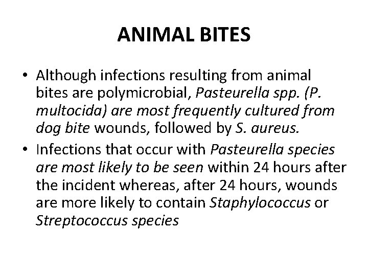 ANIMAL BITES • Although infections resulting from animal bites are polymicrobial, Pasteurella spp. (P.