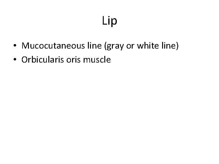 Lip • Mucocutaneous line (gray or white line) • Orbicularis oris muscle 