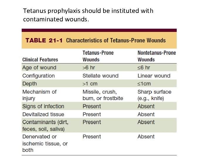 Tetanus prophylaxis should be instituted with contaminated wounds. 