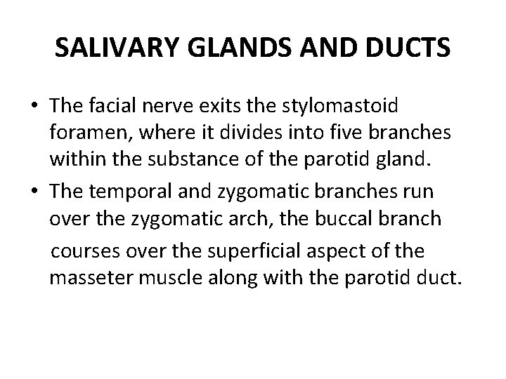 SALIVARY GLANDS AND DUCTS • The facial nerve exits the stylomastoid foramen, where it